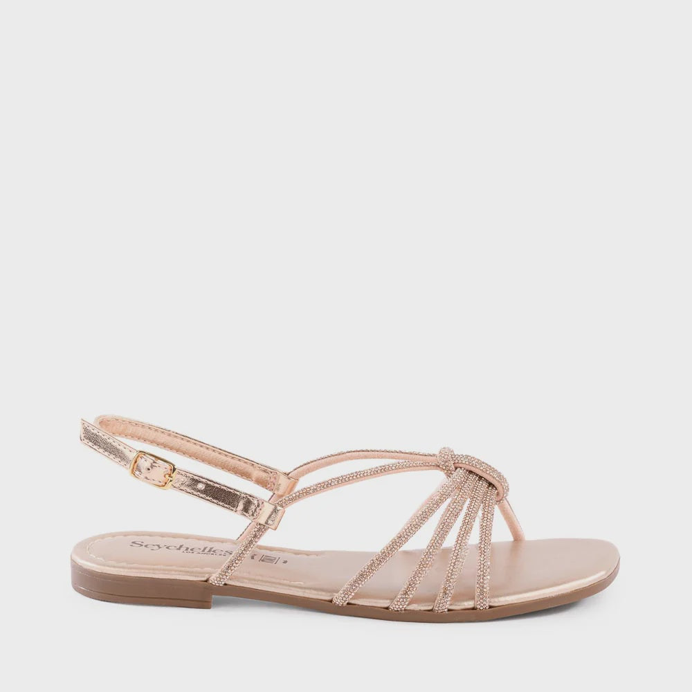 COASTING in Rose Gold